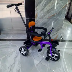 Push Tricycle With Leather Seat
Back Rest
Protective Side