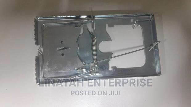 Silver Rat Trap - main view