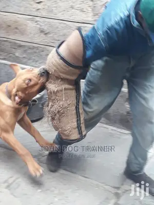 Dog Trainer
