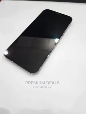 Apple iPhone 11 Pro Max 256 GB Gray