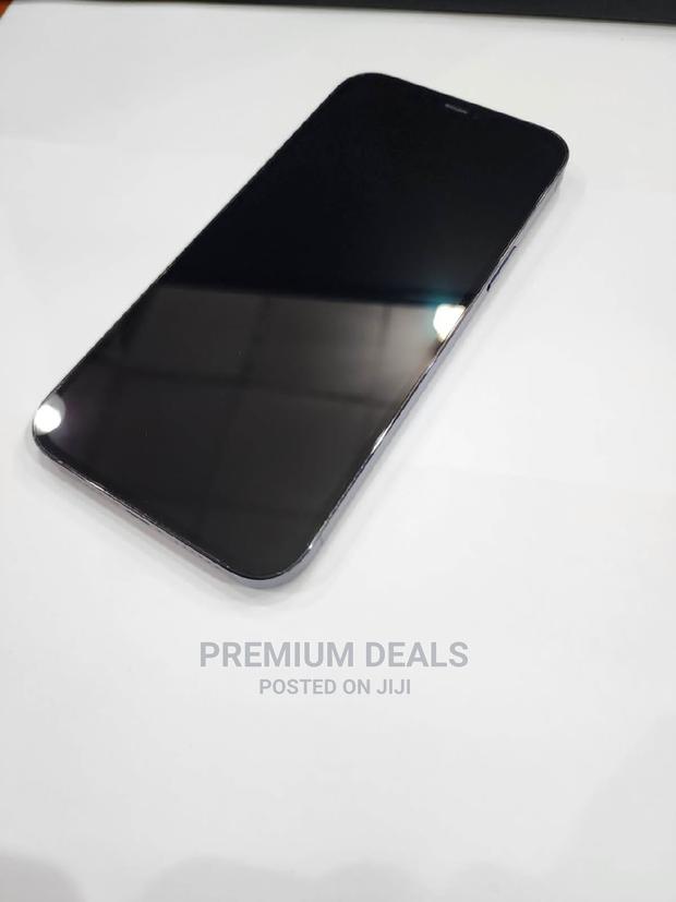 Apple iPhone 11 Pro Max 256 GB Gray