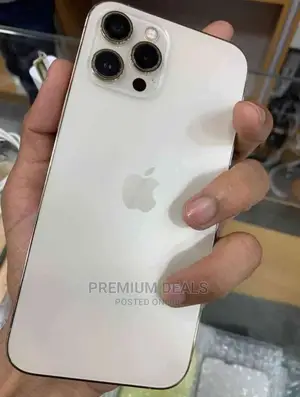 Apple iPhone 12 Pro Max 256 GB Silver
