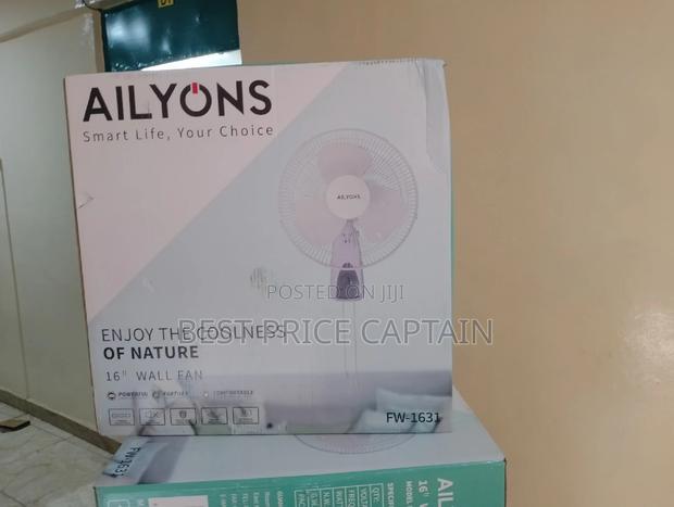 Ailyons Wall Fan - main view