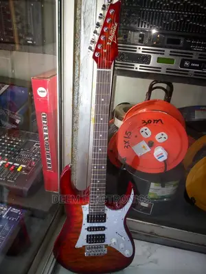Ibanez Solo Guitar