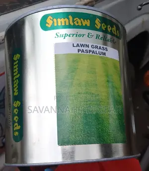 Paspalum Grass Seeds in 1kg Pack