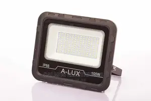100watts Led Floodlights Light