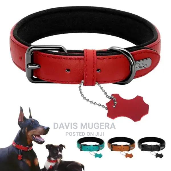 Two-Tone PU Leather Padded Dog Collar - main view