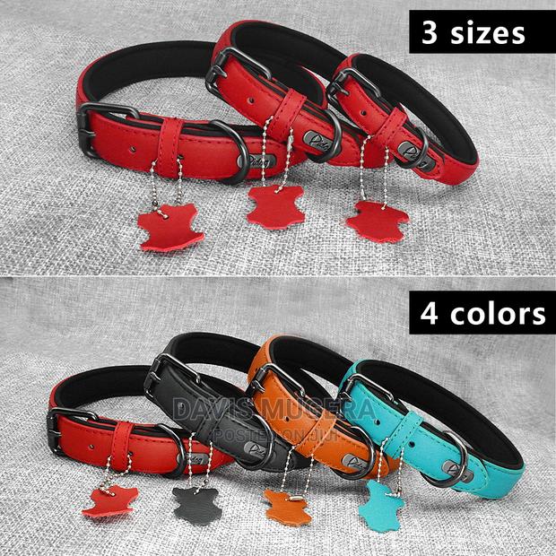 Two-Tone PU Leather Padded Dog Collar - thumbnail 3