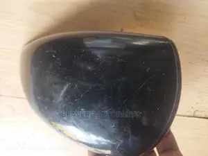 Nissan Dualis Wing / Fender Mirror