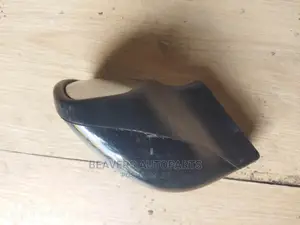 Nissan Dualis Wing / Fender Mirror