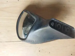 Nissan Dualis Wing / Fender Mirror