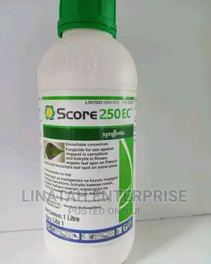 Score 250ec 1litre