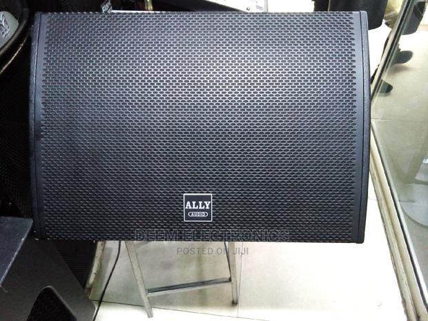 Ally Monitor Speaker 15 - thumbnail 3