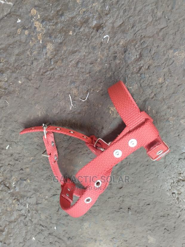 Concrete/Wooden Climber Straps