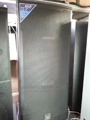 Double Speaker Ally-Audio