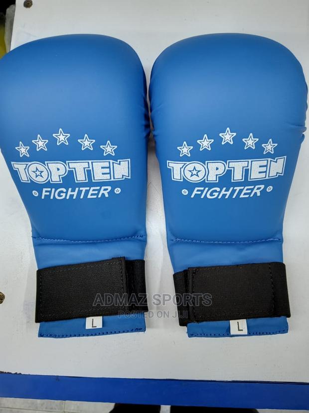 Taekwondo Hand Mitts - main view