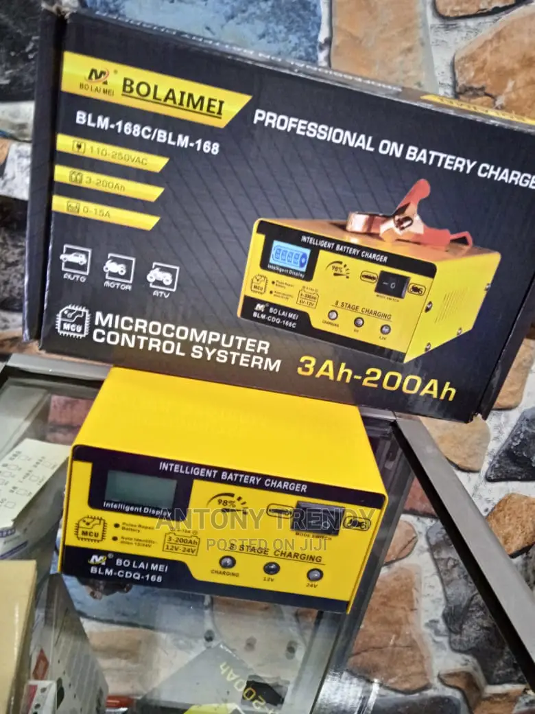Car Battery Charger 24v and 12v