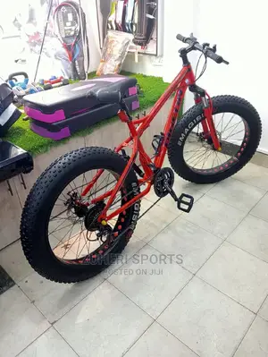 Fat Bike Mountain Bike Size 24 7 Speed 21 Gears