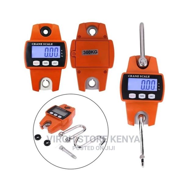 300kg/600lb Mini Heavy Duty Weighing Hanging Crane Scale