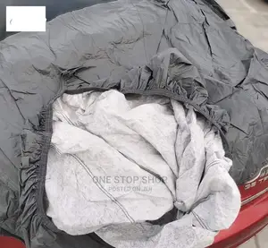 Allion Covered With All Weather Car Cover