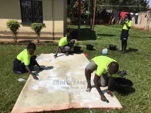 Home Carpet and Sofa Cleaning