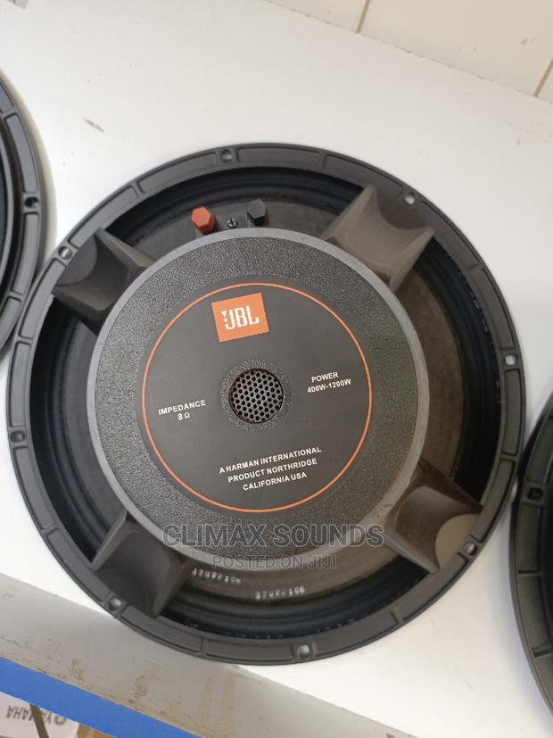JBL 15 Inches Naked Speaker USA