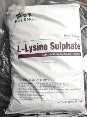 Lysine 1 Kg - thumbnail 2