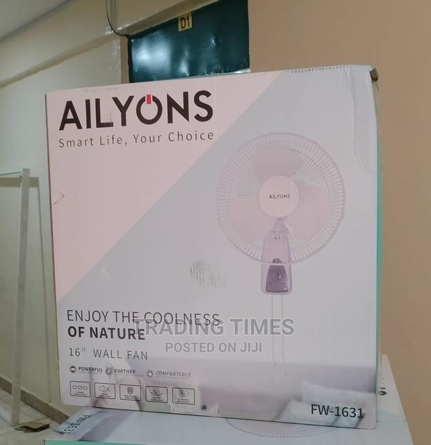 16' Ailyons Wall Fan - main view