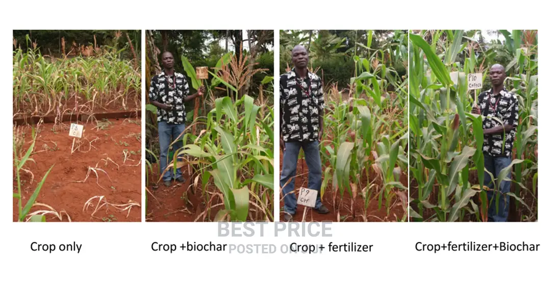 100% Organic Fertiliser, Natural Bio Fertilizer Biochar 50kg Size Bag