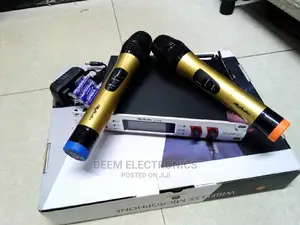 Professional Wireless Microphone- Allu Audio
