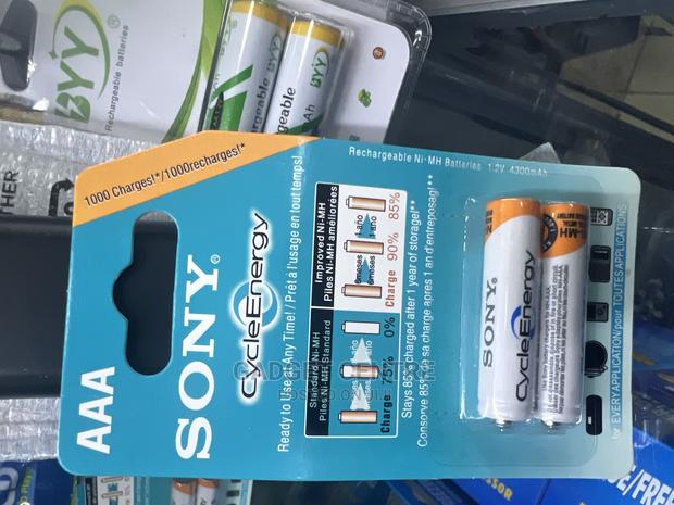 Sony AAA Rechargeable Batteries