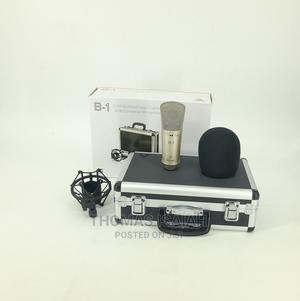 Behringer B1 Gold-Sputtered Large-Diaphragm Studio Condenser - thumbnail 2