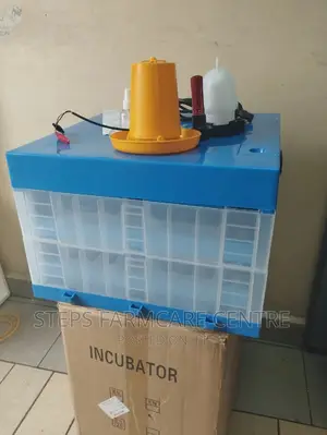 Automatic 128 Eggs Incubator With Ac and DC Inputs