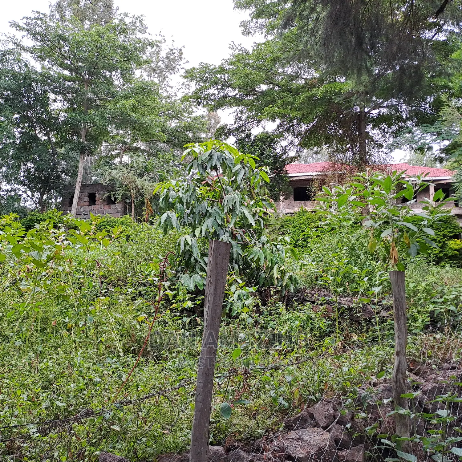 7bdrm Mansion in Ongata Rongai for sale