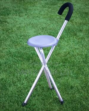 Walking Stick With Seat - main view