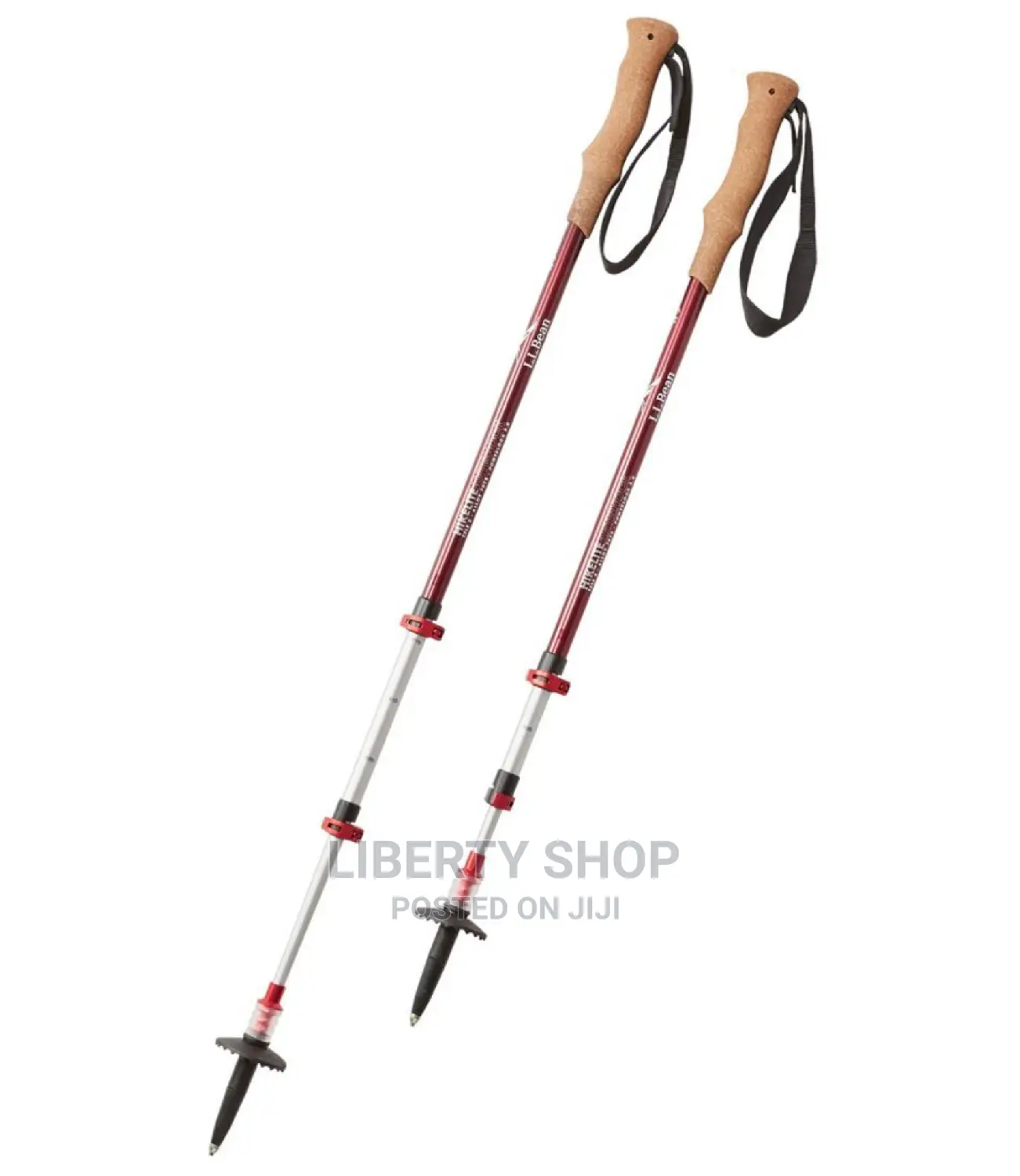 Hiking Stick Hiking Sticks