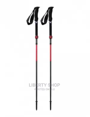 Antishock Hiking Stick