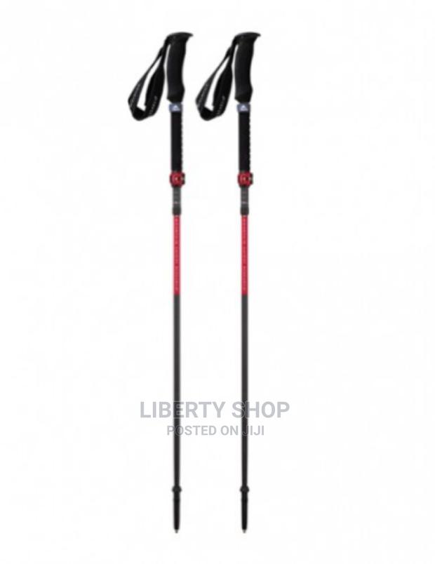 Antishock Hiking Stick - main view