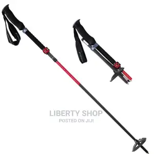 Antishock Hiking Stick