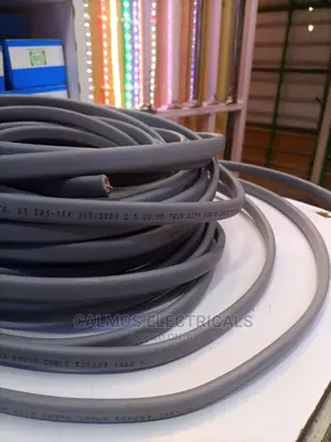 2.5mm Twin With Earth Cable