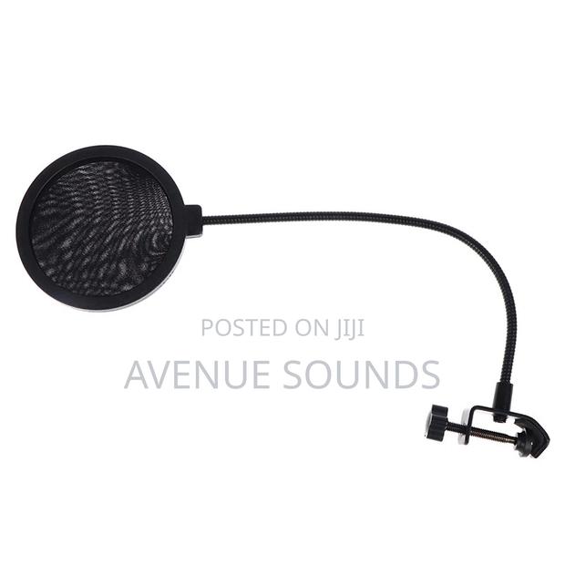 Microphone Pop Filter - thumbnail 2