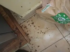 Mosquitos Bedbugs and Cockroaches Services