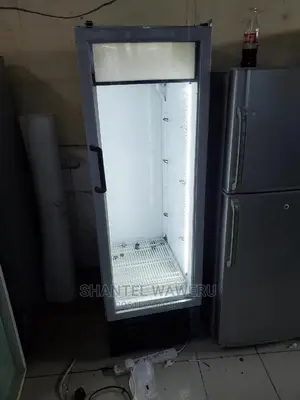 Display Fridge Fridge