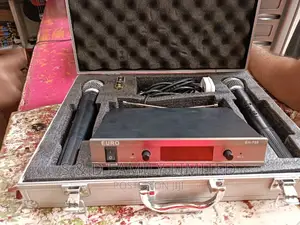 Euro Wireless Microphone
