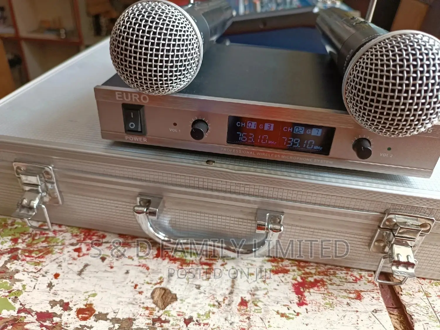 Euro Wireless Microphone