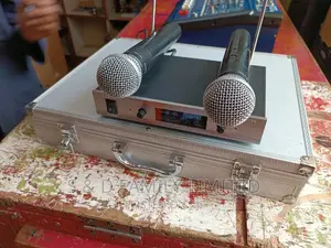 Euro Wireless Microphone