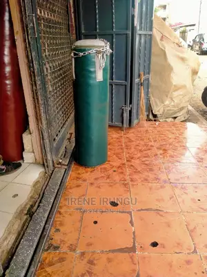 Punching Gym Bag 40kgs