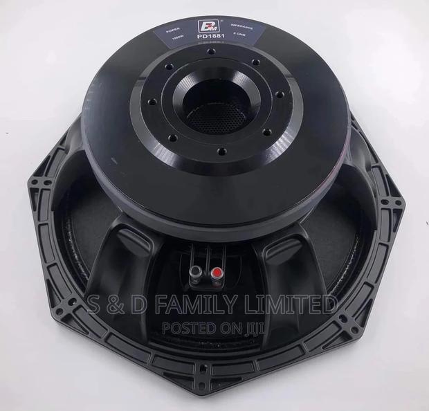 Pd 1881 Naked Speaker