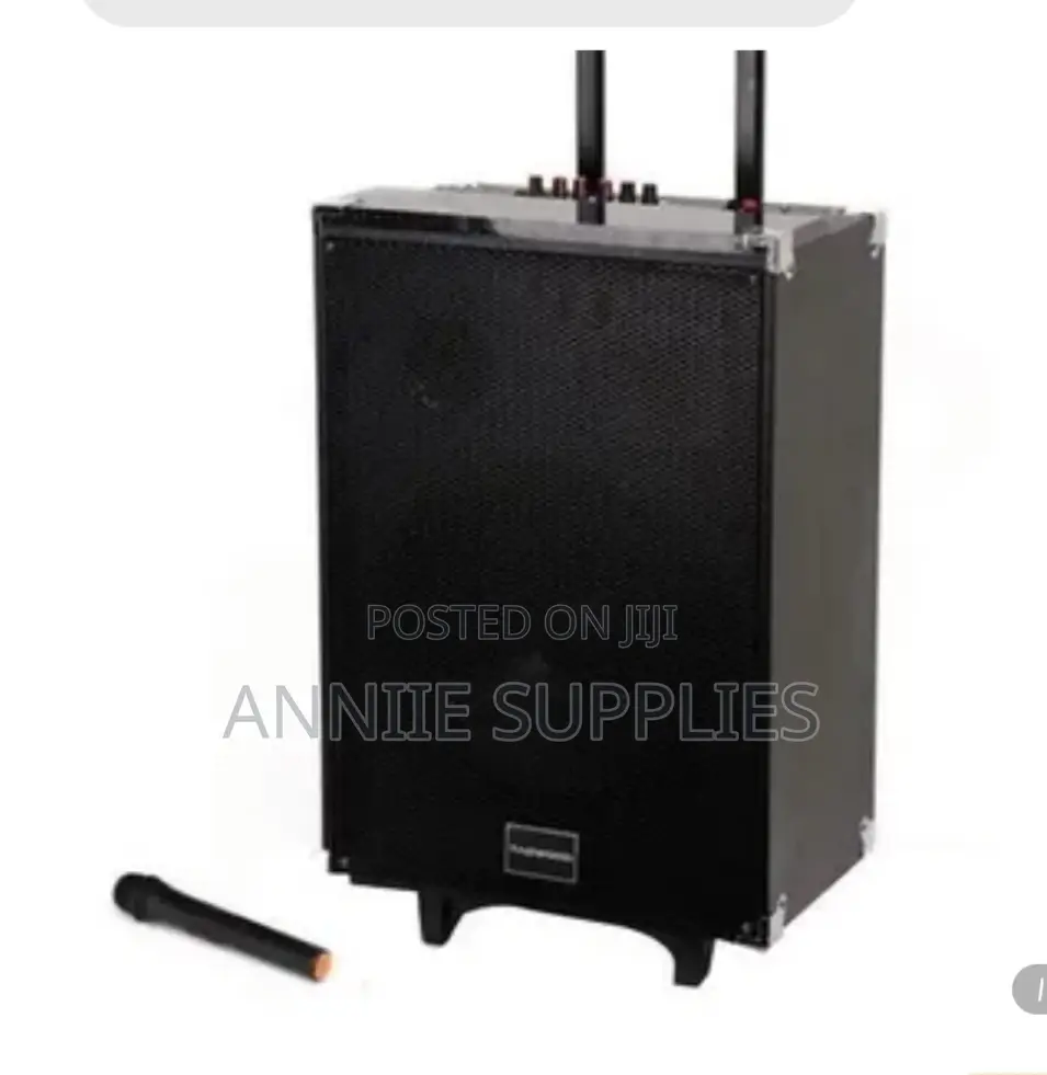 10'' Tagwood Powered Speaker With Mic Bt