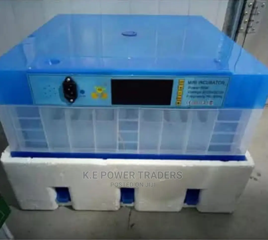 New Design Full Automatic 64 Egg Incubator